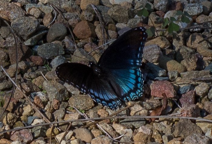 sylvan valley lodge north ga helen