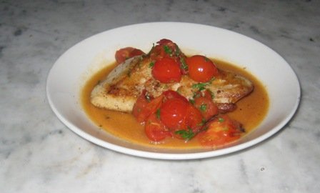 ecco-cobia Ecco Cobia Fish