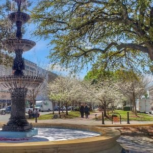 macon-best-things-to-do-roamilicious