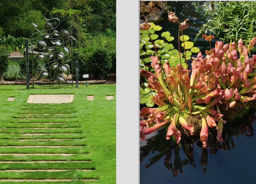 athens-ga-botanical-gardens