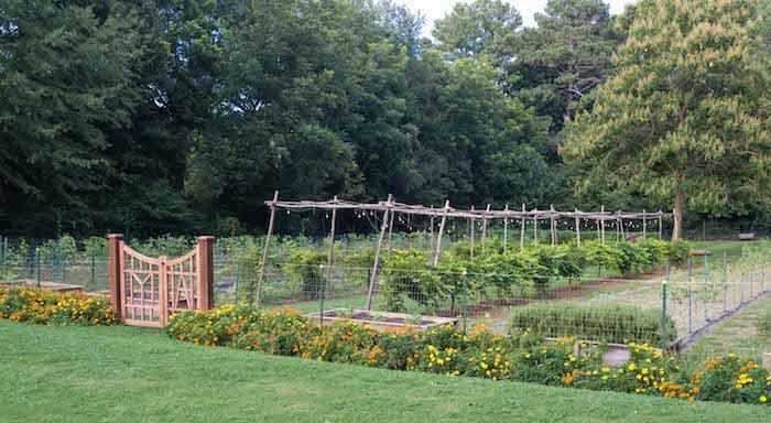 Milton's Cuisine and cocktails