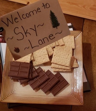 fun blue ridge cabin GA roamilicious