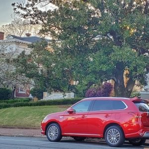 cherry-blossom-festival-macon