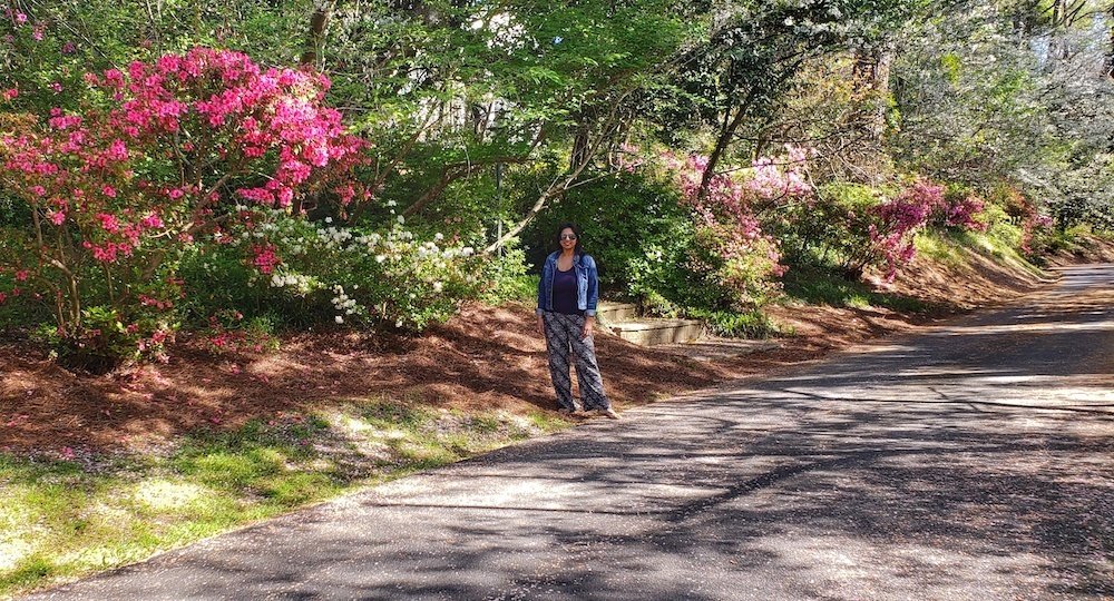 cherry-blossom-festival-macon-roamilicious