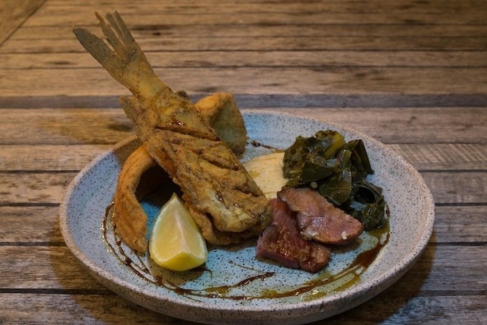 salty-snapper-valdosta-catfish