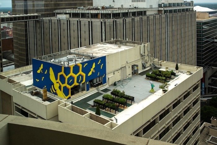 atlanta-hyatt-bee-garden