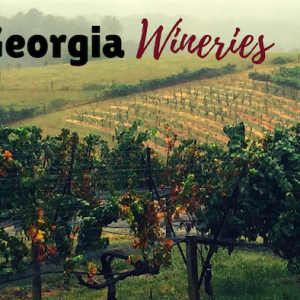 north-georgia-wineries-roamilicious