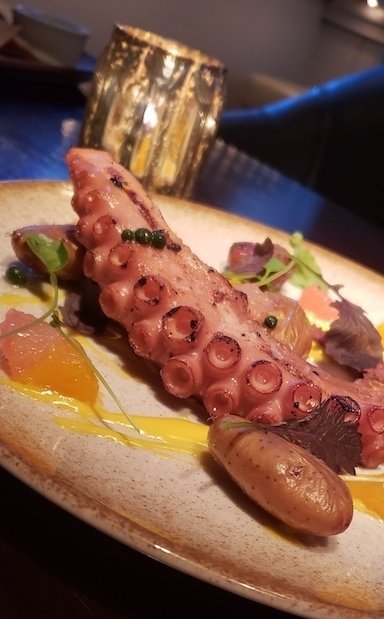 bar margot octopus restaurant