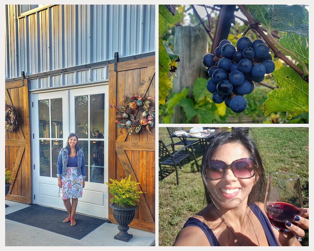 atlanta-winery-near-me-roamilicious