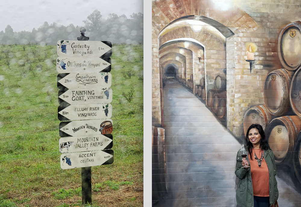 north-georgia-wine-trail-roamilicious