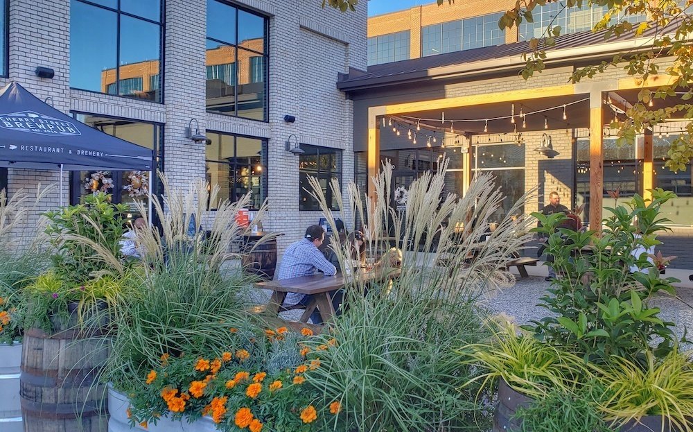 cherry-street-beer-garden-halcyon-roamilicious